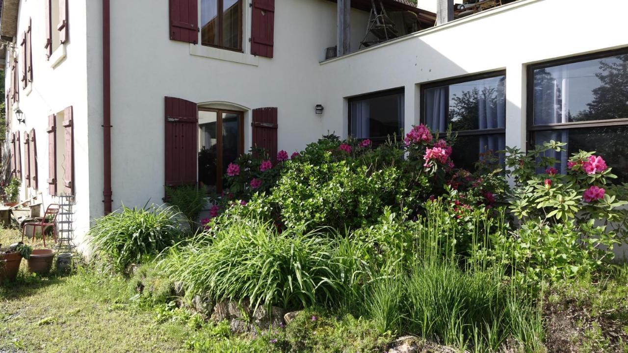 Le Jolis Bois Bed & Breakfast Raon-l'Etape Ngoại thất bức ảnh